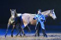 Apassionata_2014    120
